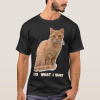 Funny Orange Tabby Cat Lovers Gifts