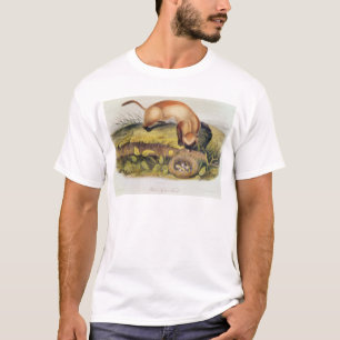 T-shirt furet Noir-aux pieds