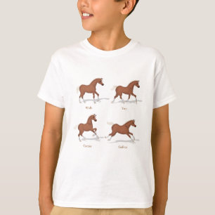 T-shirt Gaits du cheval courir le poulain sorrel équestre