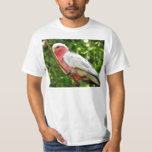 T-shirt Galah (cacatoès rose de Breasted)