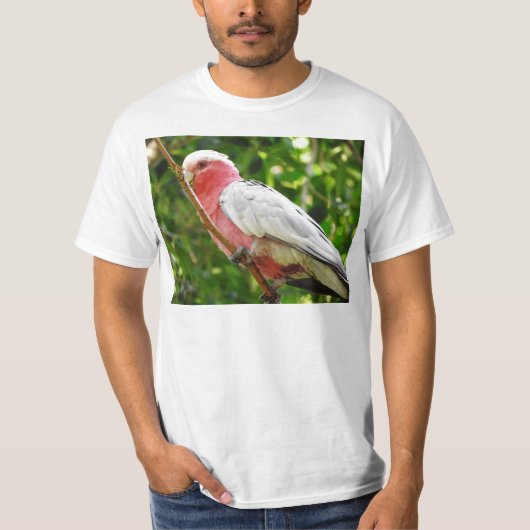 T-shirt Galah (cacatoès rose de Breasted) (Devant)