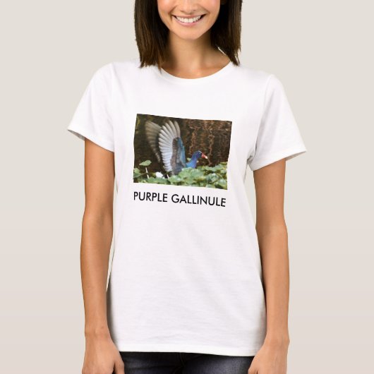 T-SHIRT GALLINULE POURPRE (Devant)