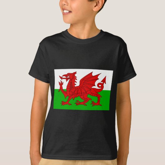 T-shirt Gallois/drapeau du Pays de Galles - image de haute (Devant)