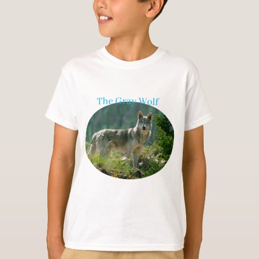 T-shirt garçon (Devant)