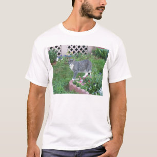 T-shirt Garden Kitty