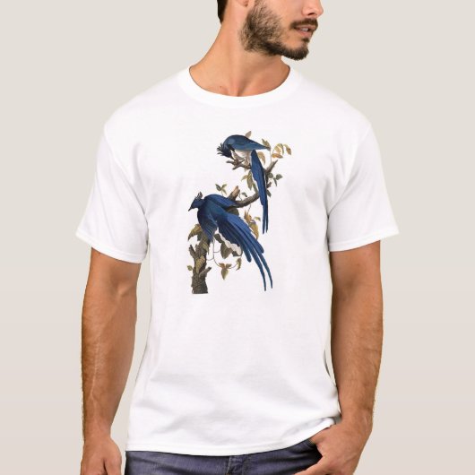 T-shirt Geai | John James Audubon de Colombie (Devant)