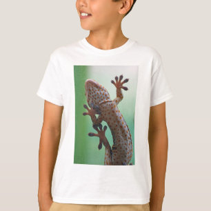 T-shirt Gecko