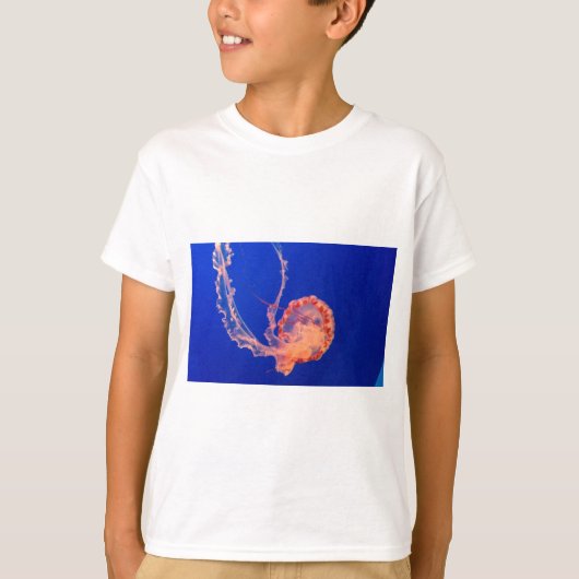 T-shirt gelée (Devant)