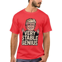 génie très stable