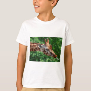 T-shirt Giraffe