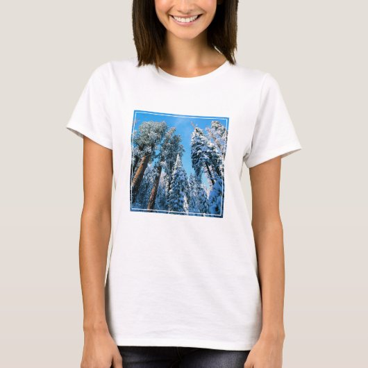 T-shirt Glace et neige | Parc national de Sequoia, Califor (Devant)