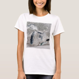 T-shirt Glace Sur Les Grands Lacs, États-Unis.