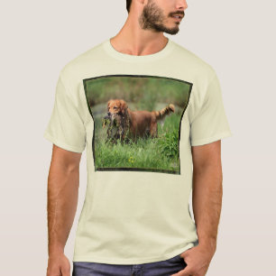 T-shirt Golden retriever avec la chemise de canard de