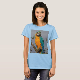 T-shirt Goldie Blue Tee