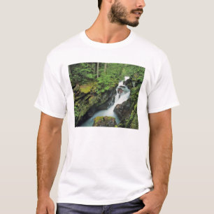 T-shirt Gorge des avalanches dans le parc national des Gla