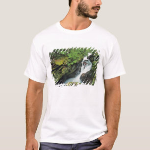 T-shirt Gorge des avalanches dans le parc national des Gla