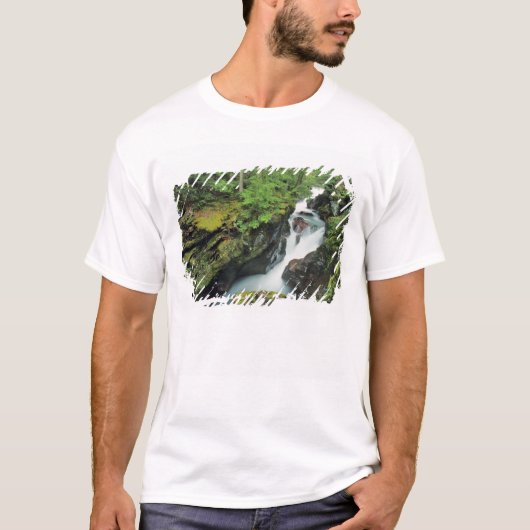 T-shirt Gorge des avalanches dans le parc national des Gla (Devant)