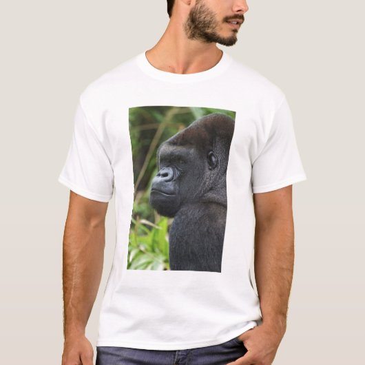 T-shirt Gorille de Silverback Lowland, captif de Gorilla (Devant)