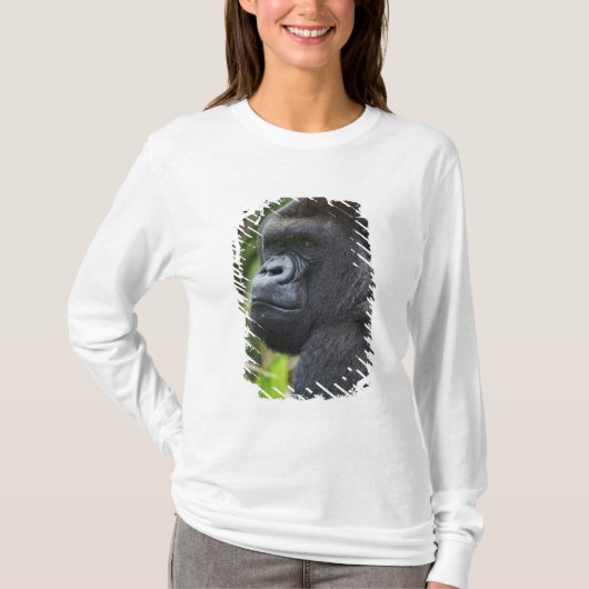T-shirt Gorille de Silverback Lowland, captif de Gorilla (Devant)