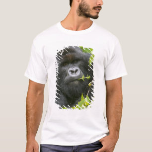 T-shirt Gorille des montagnes à dos argenté