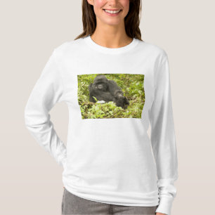 T-shirt Gorille des montagnes, Gorilla beringei (anciennem