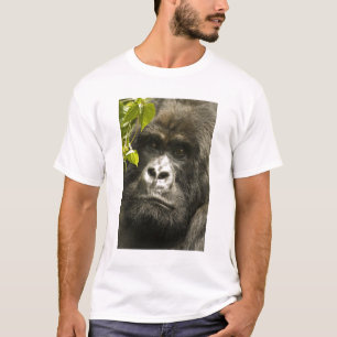T-shirt Gorille des montagnes, Gorilla beringei beringei,