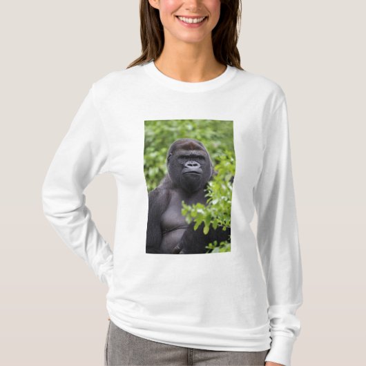 T-shirt Gorille des plaines à dos argenté, Gorilla gorilla (Devant)