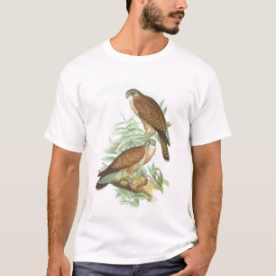 T-shirt Gould - crécerelle - tinnunculus de Falco