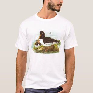 T-shirt Gould - huîtrier - ostralegus de Haematopus