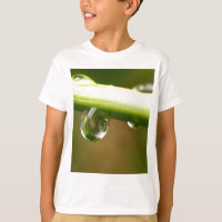 goutte d'eau sur feuille