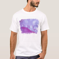 Gouttes de rosée sur un pétale de fleur abstrait.