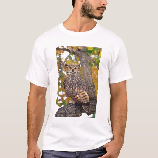 T-shirt Grand-duc d'Amérique (Devant)