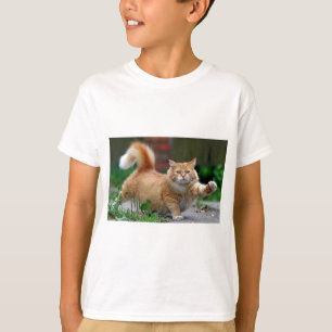 T-shirt Grand gros chat orange