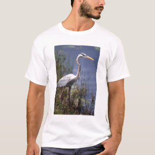 T-shirt Grand Héron bleu oiseau aquatique