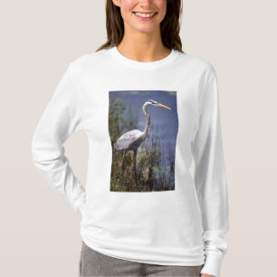 T-shirt Grand Héron bleu oiseau d'eau