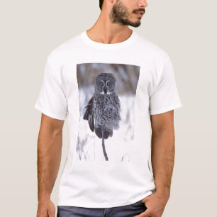 T-shirt Grande chouette grise près de Pine City MN,