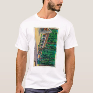 T-shirt Grande loge d'arbres dans le verger de Mariposa