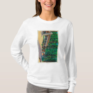T-shirt Grande loge d'arbres dans le verger de Mariposa