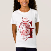 Graphique de Harry Potter | Aguamenti GRYFFINDOR™
