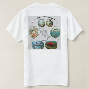 T-shirt Graphique du cycle de vie du saumon Kokanee