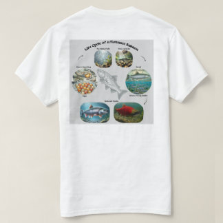 T-shirt Graphique du cycle de vie du saumon Kokanee
