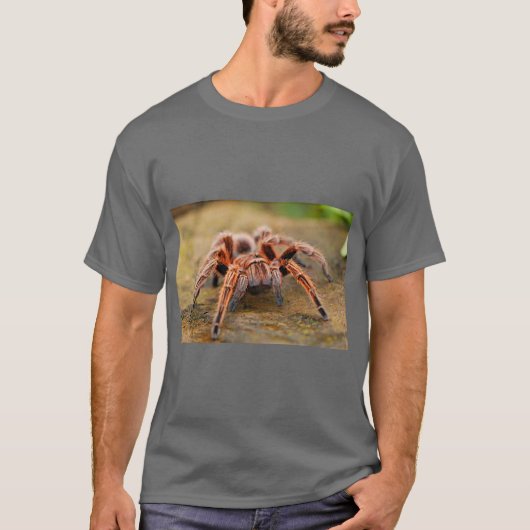 T-shirt Graphisme araignée nature (Devant)