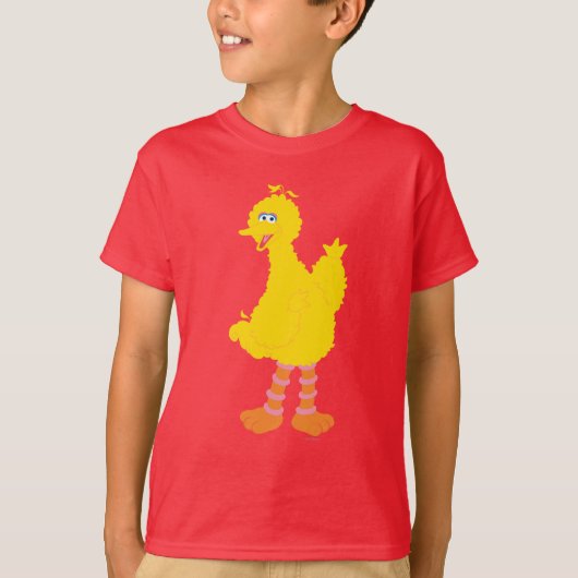 T-shirt Graphisme des grands oiseaux (Devant)