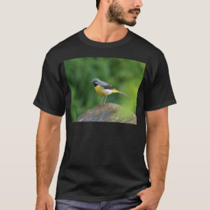 T-shirt Gray Wagtail - oiseau