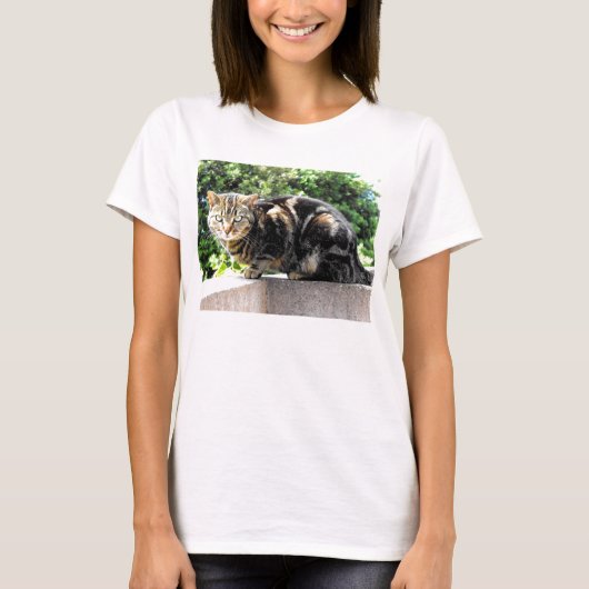 T-shirt Gremlin le chat tabby (Devant)