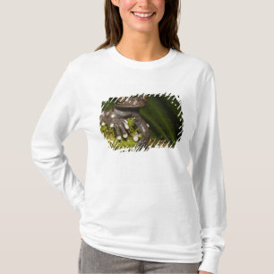 T-shirt Grenouille captive Tapichalaca Hyloscirtus 3