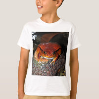 Grenouille de tomate