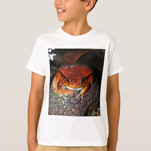 T-shirt Grenouille de tomate (Devant)
