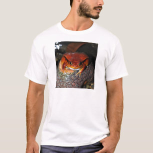T-shirt Grenouille de tomate