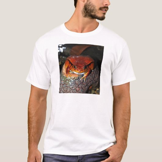 T-shirt Grenouille de tomate (Devant)